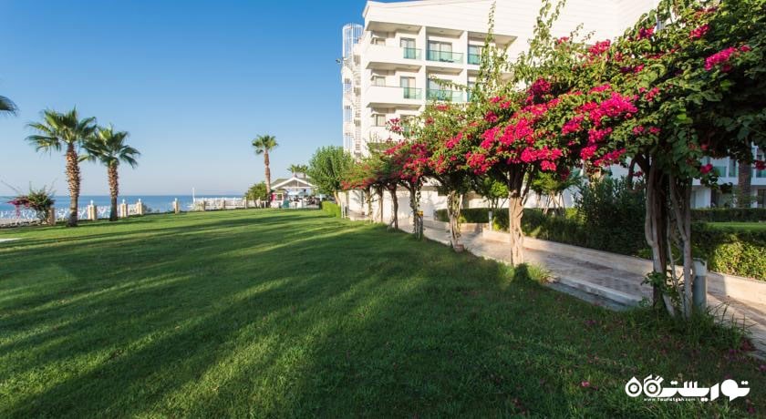 نمایی از محوطه فضای سبز هتل